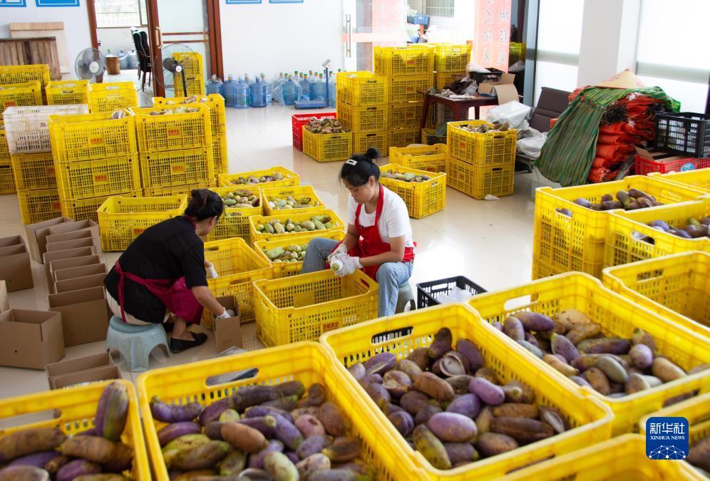 金沙老平台是哪一个